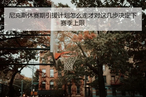 尼克斯休赛期引援计划怎么走才对这几步决定下赛季上限